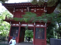 本土寺の門